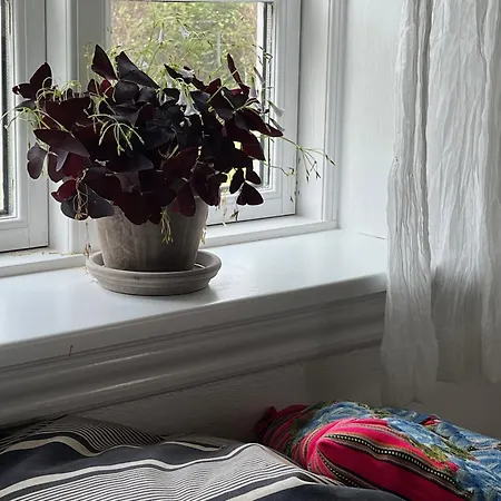 The Farm - Charm, And Stunning Nature بيت للعطل *