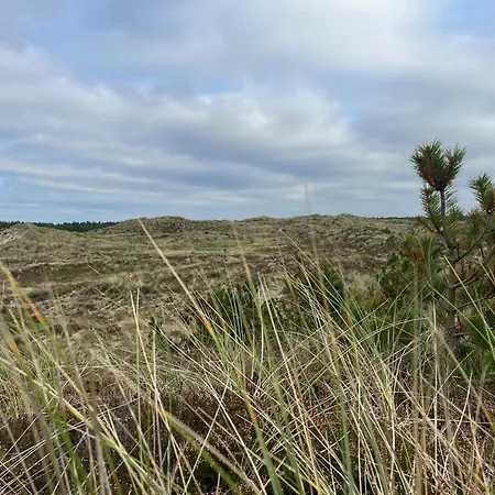 The Farm - Charm, And Stunning Nature Bedsted Thy