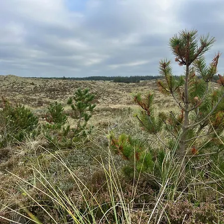 The Farm - Charm, And Stunning Nature بيت للعطل Bedsted Thy