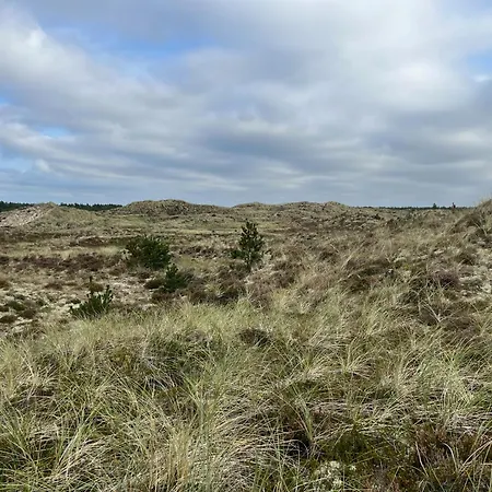 The Farm - Charm, And Stunning Nature *