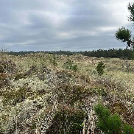 بيت للعطل The Farm - Charm, And Stunning Nature Bedsted Thy